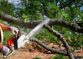 Best Aeration Services  in Caldwell, ID