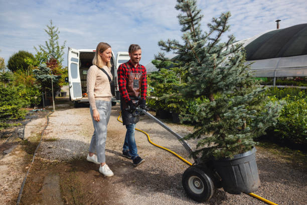  Caldwell, ID Tree Services Pros